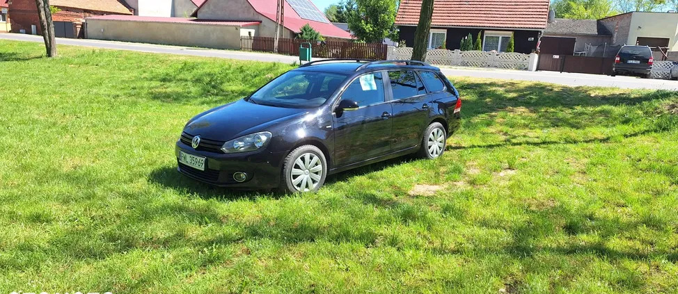 wielkopolskie Volkswagen Golf cena 22900 przebieg: 189000, rok produkcji 2012 z Brzeszcze